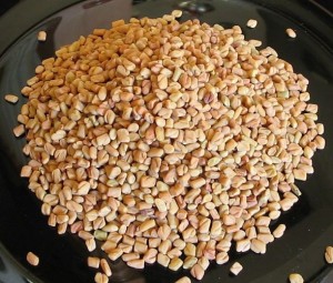 707px-fenugreek-methi-seeds